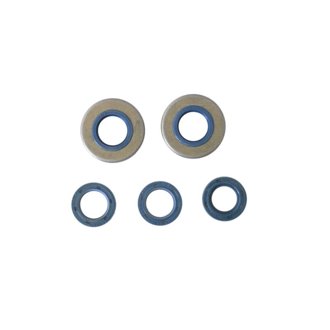 Francomorini 2T M01/M02/M0 KG 48 Engine Oil Seal Kit