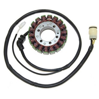 Electrosport Stator Kawasaki ZX-12R (02-03) B1/B2